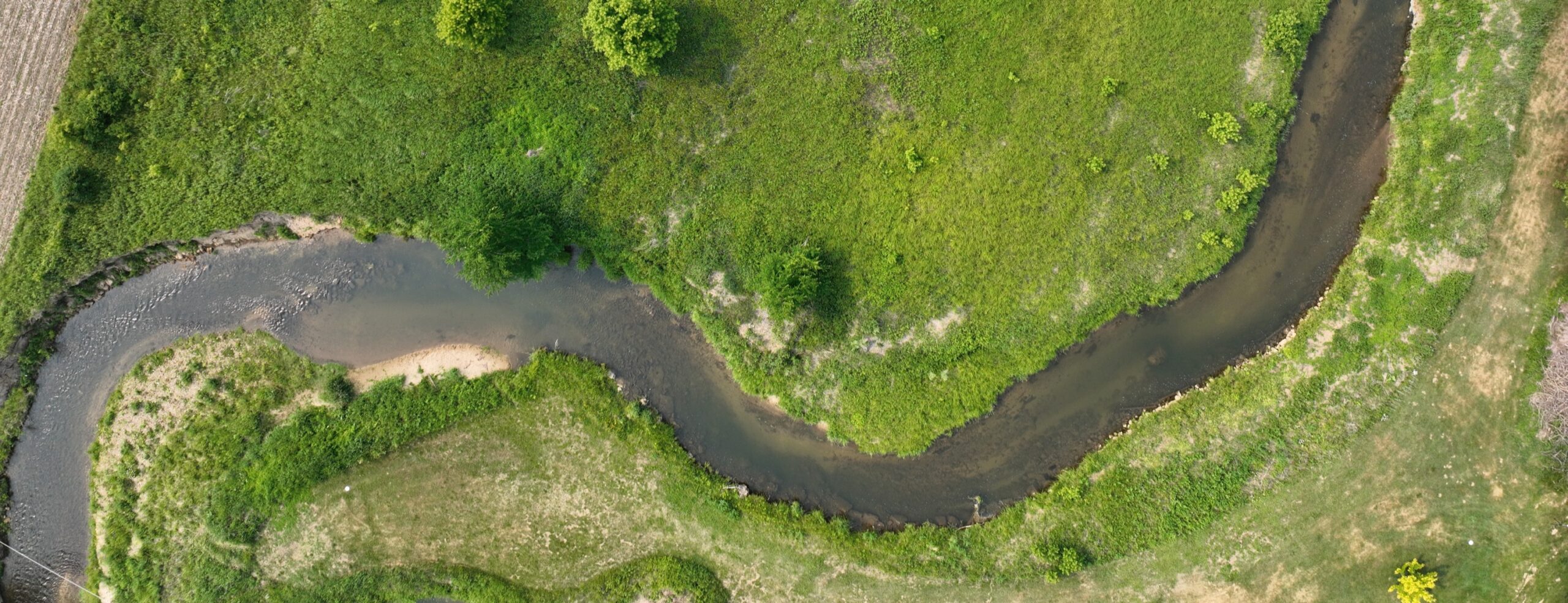 Aerial view of a river winding through a riparian corridor